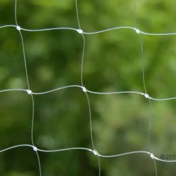 Sikkerhedsnet til katte - transparent