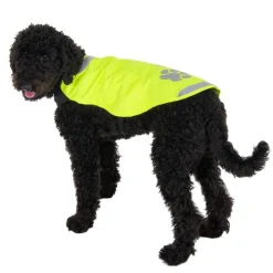 Sikkerhedsvest til hunde