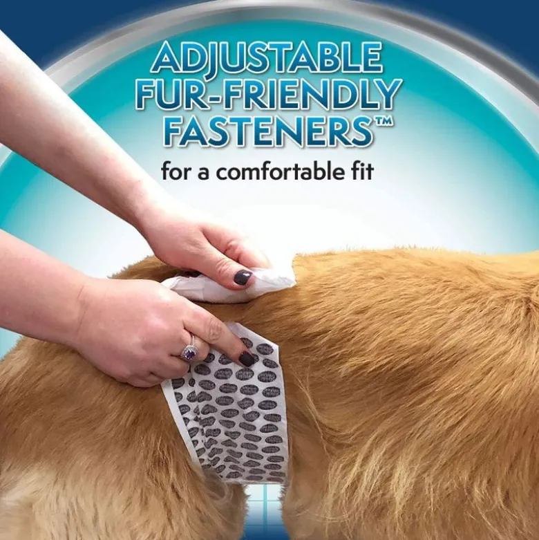 Simple Solution engangsble til hanhunde