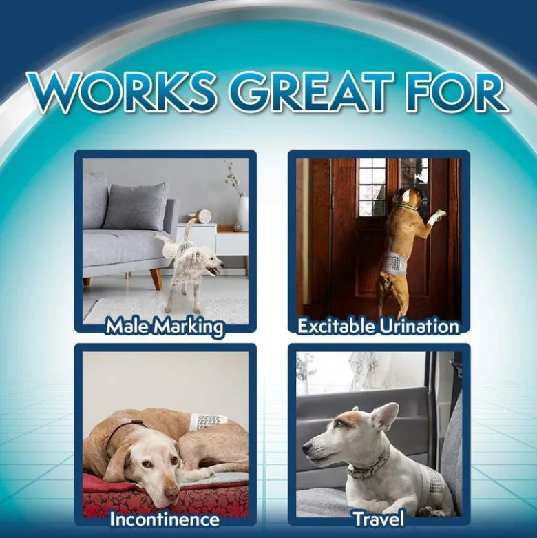 Simple Solution engangsble til hanhunde