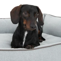 Skara Hundeseng