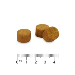 Skin & Coat Supplements Chews - Concept for Life