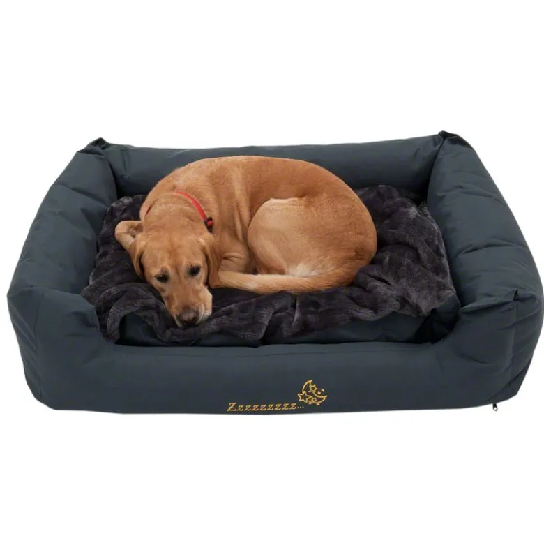 Sleepy Time grey Hundeseng