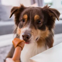 SmartBones Okse til mellemstore hunde