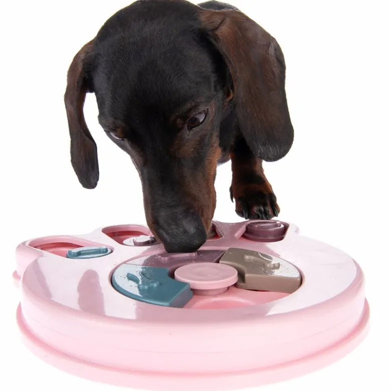 Snack Paw Intelligenslegetøj