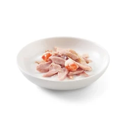 Sparpaket Schesir in Gelee 24 x 85 g