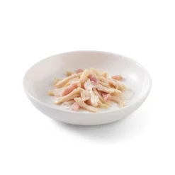 Sparpaket Schesir in Gelee 24 x 85 g