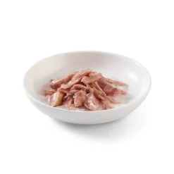 Sparpaket Schesir in Gelee 24 x 85 g
