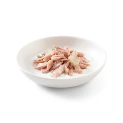 Sparpaket Schesir in Gelee 24 x 85 g