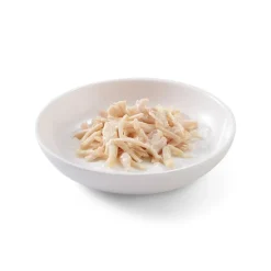 Sparpaket Schesir in Gelee 24 x 85 g