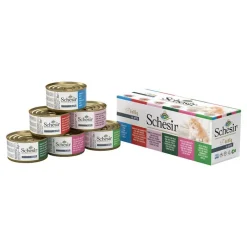 Sparpaket Schesir in Gelee 24 x 85 g