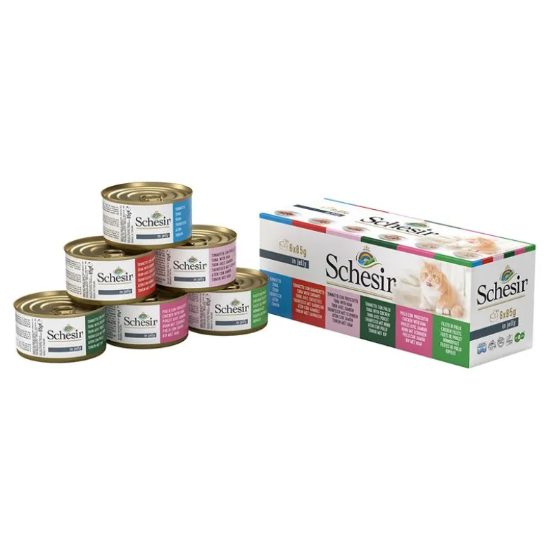 Sparpaket Schesir in Gelee 24 x 85 g