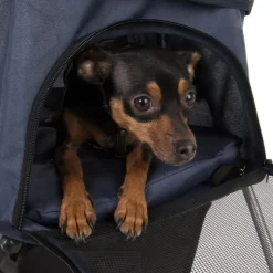 Sporty Pet Stroller