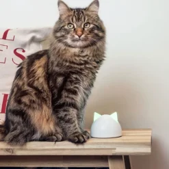 SureFlap Microchip Pet Door Connect kattelem og hundelem