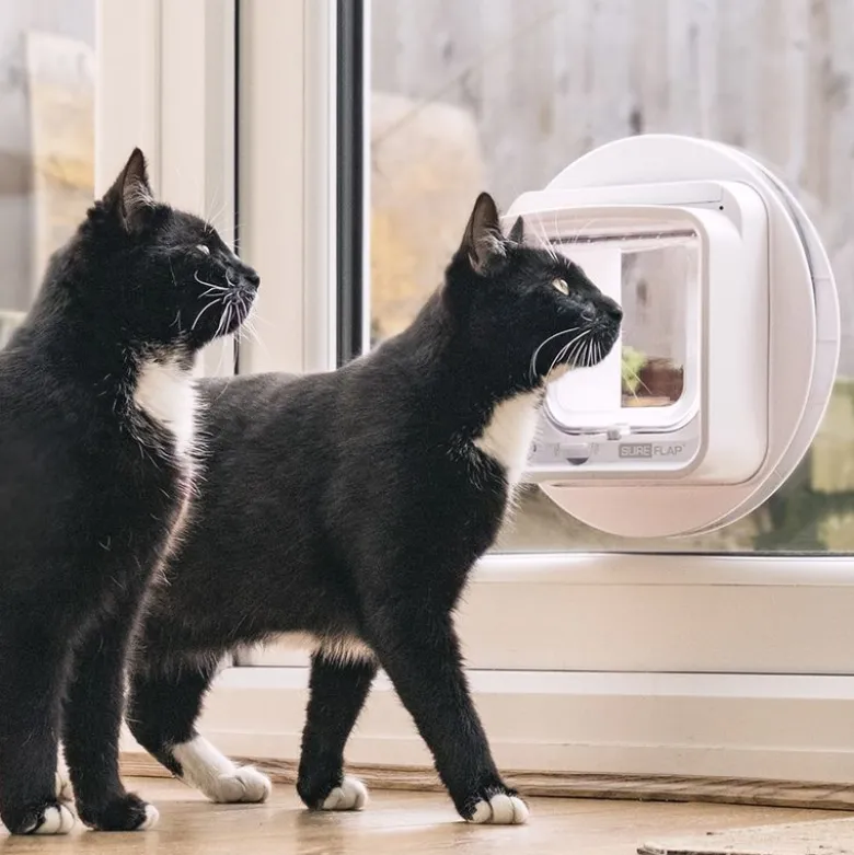 SureFlap Microchip Pet Door Connect kattelem og hundelem