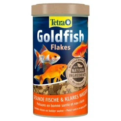 Tetra Guldfisk