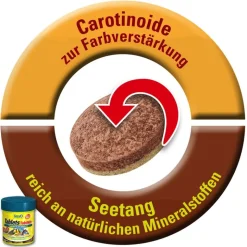 Tetra Tablets TabiMin foderpiller