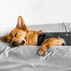 ThunderShirt® beroligende vest, grå