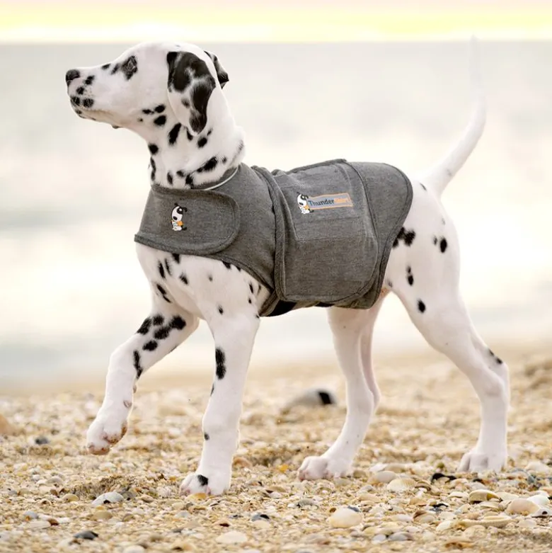 ThunderShirt® beroligende vest, grå
