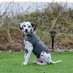 ThunderShirt® beroligende vest, grå