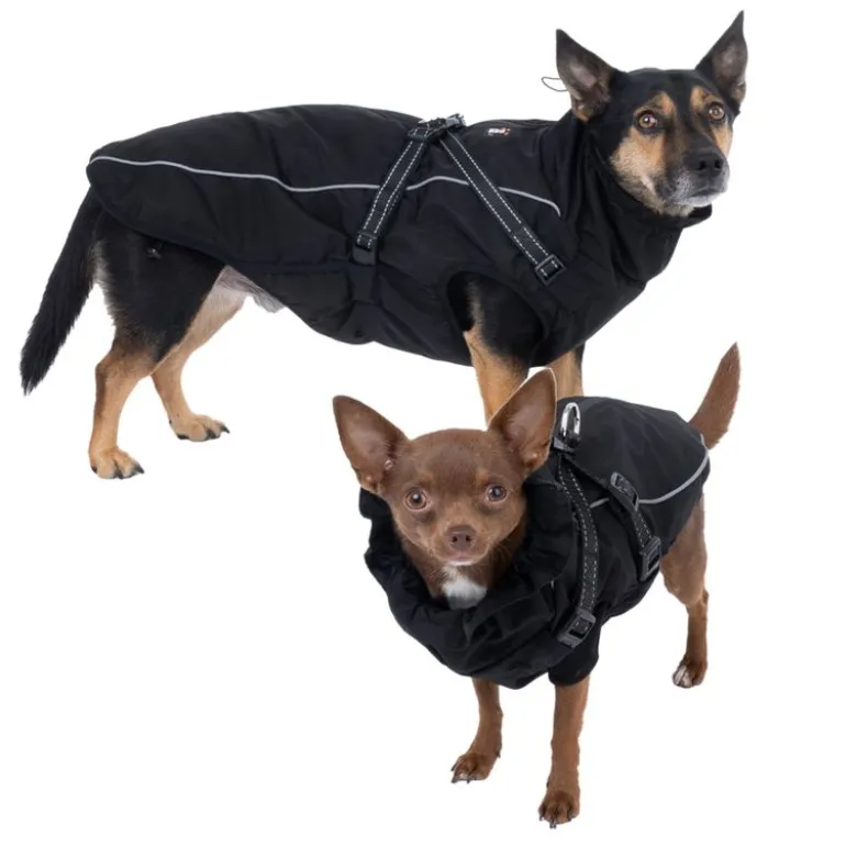TIAKI Arkon hundejakke med sele, sort