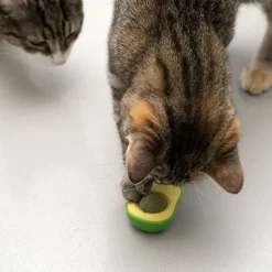 TIAKI Avocado med katteurt-bold