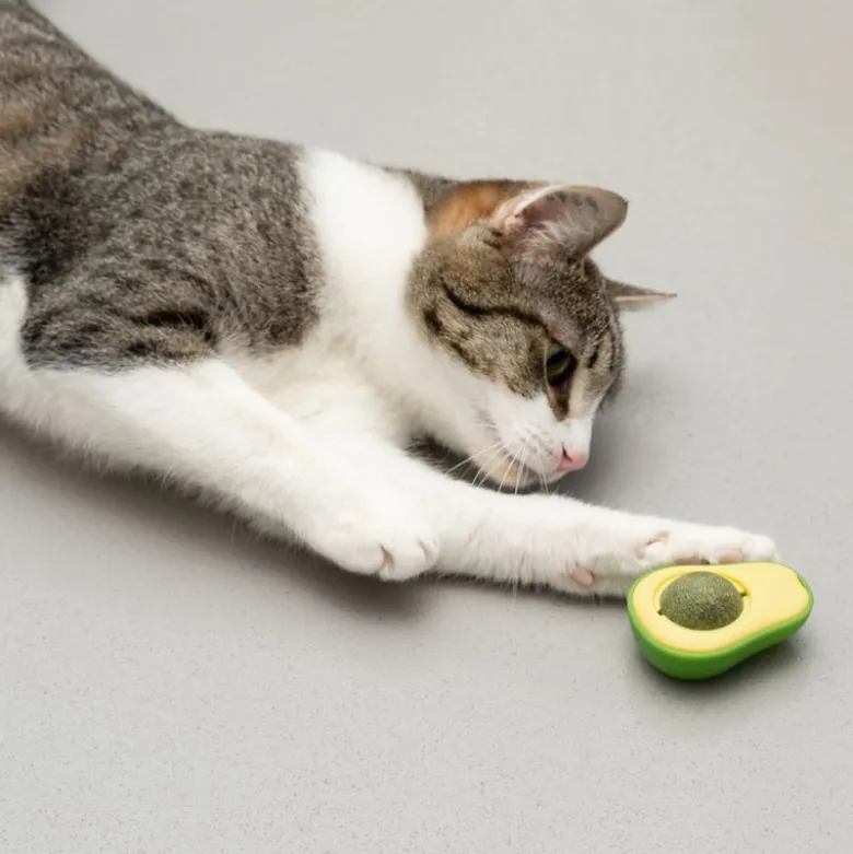 TIAKI Avocado med katteurt-bold