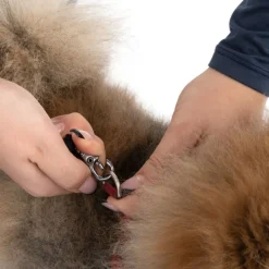 TIAKI bæretaske til hunde