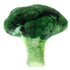TIAKI Broccoli hundelegetøj