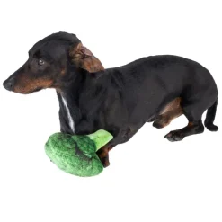 TIAKI Broccoli hundelegetøj
