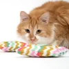 TIAKI catnip-pude Zig Zag