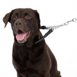 TIAKI Chain hundehalsbånd