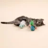 TIAKI Festlige fjerbolde til katte
