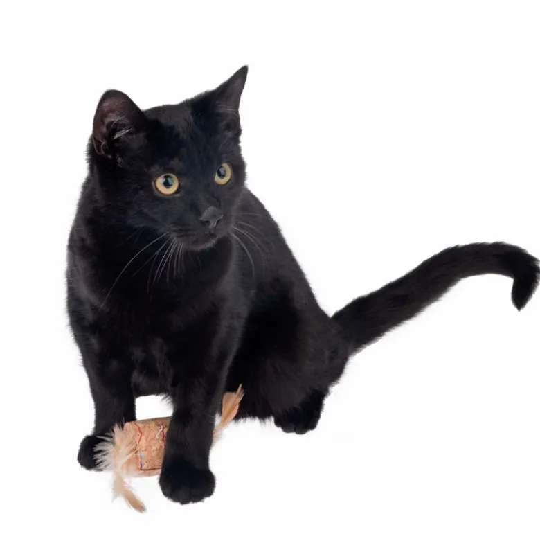 TIAKI Fjer-Kork med Catnip