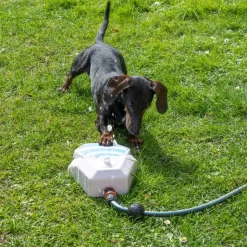 TIAKI Garden Fountain til hunde