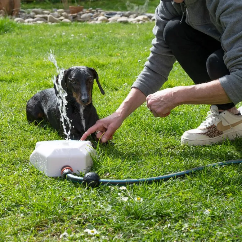 TIAKI Garden Fountain til hunde
