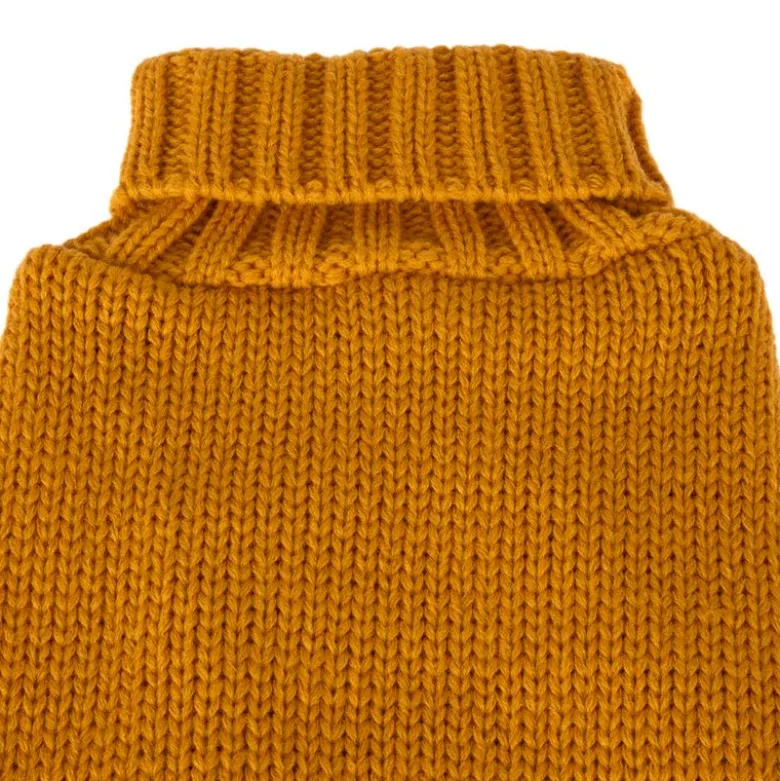 TIAKI Gold hundesweater