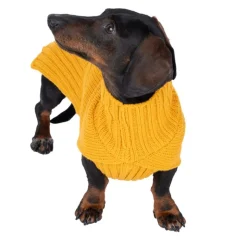 TIAKI Gold hundesweater