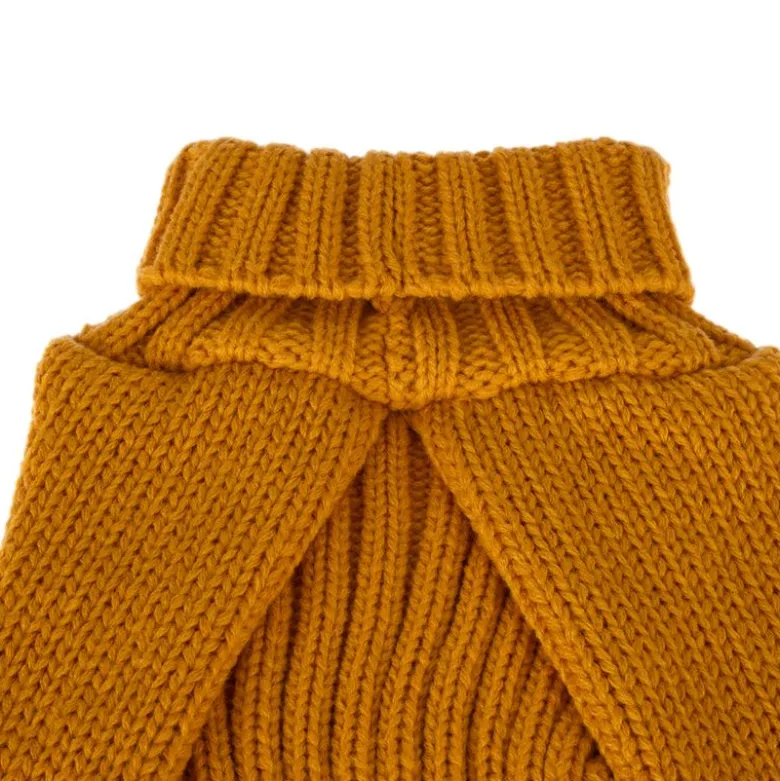 TIAKI Gold hundesweater