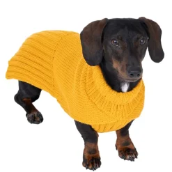 TIAKI Gold hundesweater