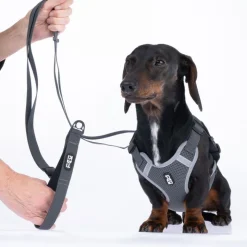 TIAKI grå hundesnor