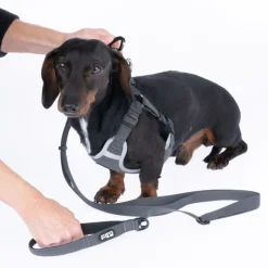 TIAKI grå hundesnor