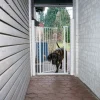 TIAKI højt hundegitter af metal