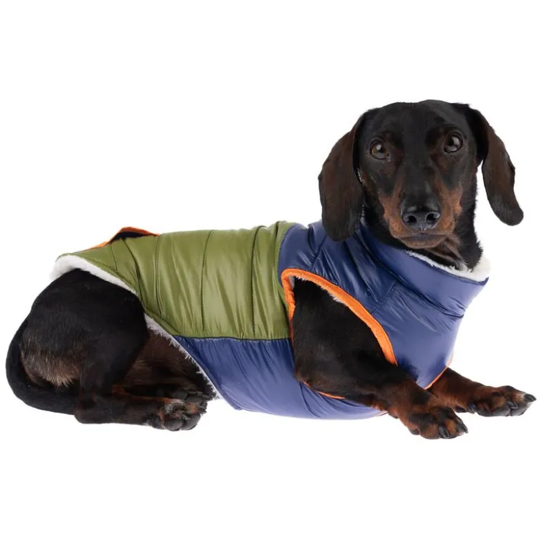TIAKI hundejakke Stripes