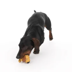 TIAKI hundelegetøj latexhund