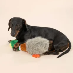 TIAKI hundelegetøjsand "Squawk"