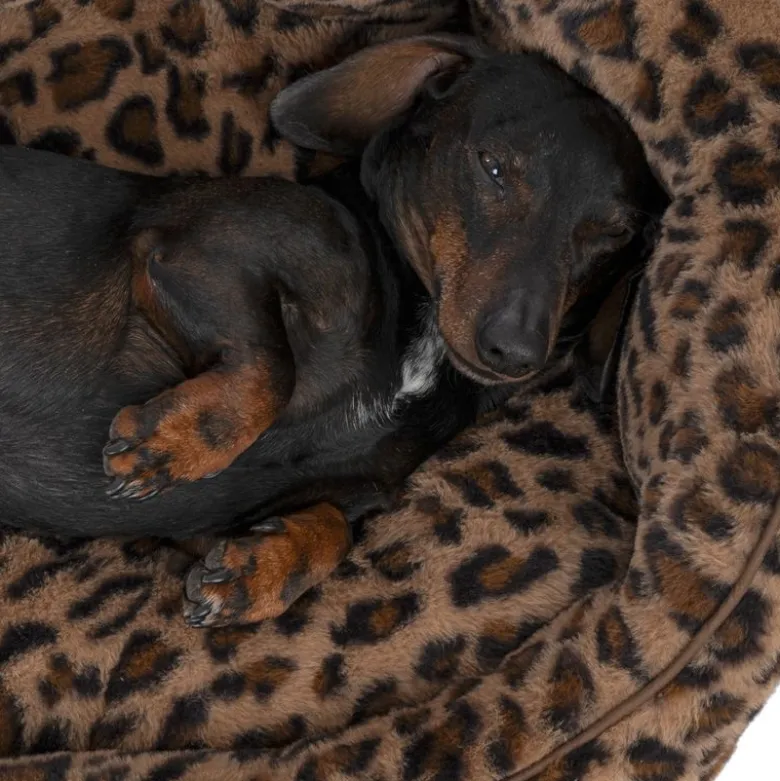 TIAKI hundeseng Leo
