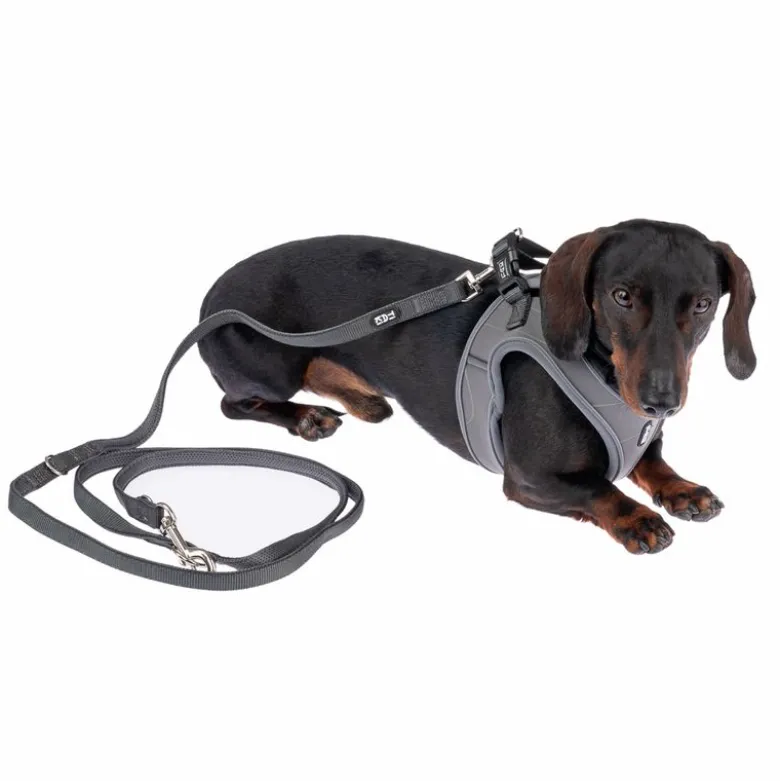 TIAKI hundesnor Mesh, Antracit