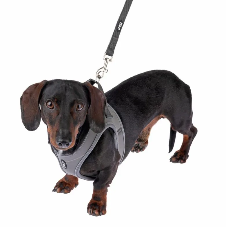 TIAKI hundesnor Mesh, Antracit