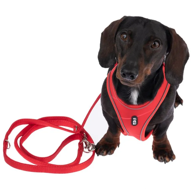 TIAKI hundesnor Mesh, rød